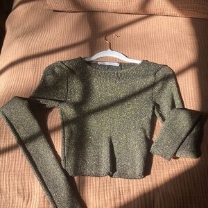 Zara glitter crop top
